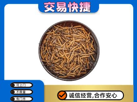 宜春市奉新回收散虫草